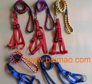 猫狗宠物用品图册排版设计 森作文化传播的专业解决方案